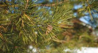 Гостиница HELIOPARK  Суздаль-7